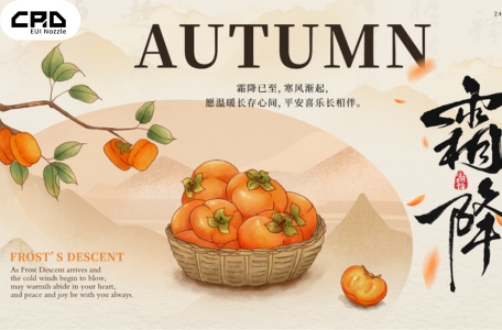 Common Rail SMART Injector Nozzles