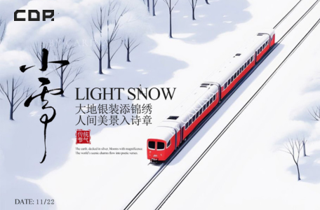 Common Rail SMART Injector Nozzles